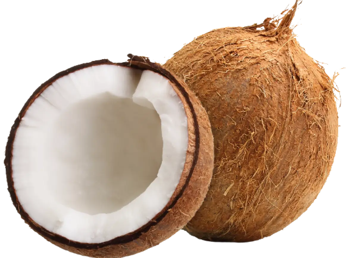 coconut